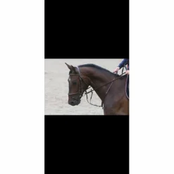 Martingale réglable*Euroriding New