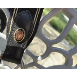 HFI Martingales>martingale taille cheval