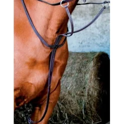 T de T Martingales><noscript><img width=