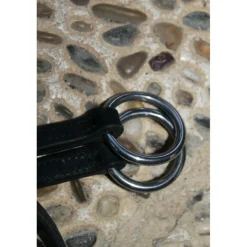 Decathlon Martingales>martingales