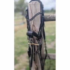 Neue Schule Brides>mors de bride Ns Bits