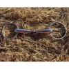 Fouganza Mors Et Embouchures>mors simple