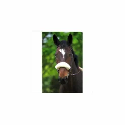 CSO Accessoires>Moumoute protection