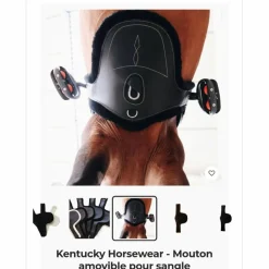 Kentucky Sangles><noscript><img width=