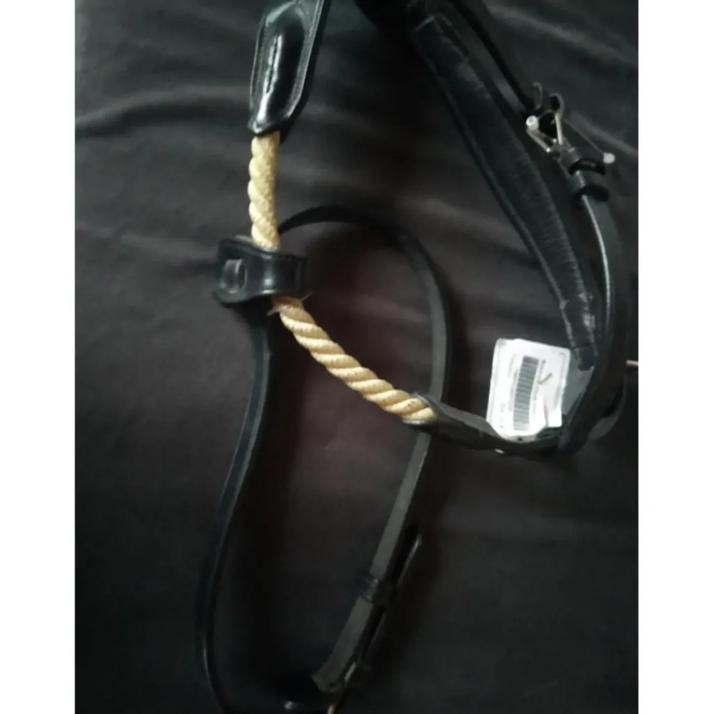 Time Rider Accessoires>Muserolle et noseband NEUFS