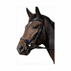 muserolle fautras astuces taille cheval*- Marque inconnue - Clearance