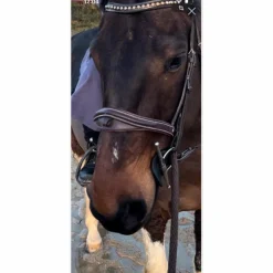 SILVER*CROWN Accessoires>Muserolle HALF MOON Silver Crown
