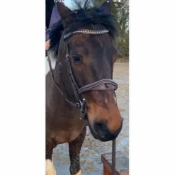 SILVER*CROWN Accessoires><noscript><img width=