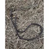 Nose band*- Marque inconnue - Clearance