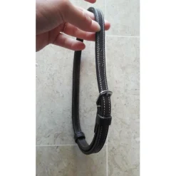 Nose band*Fouganza Hot