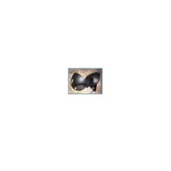Equitheme Kit De Pansage><noscript><img width=