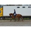 Tattini Pantalons De Concours>Pantalon blanc