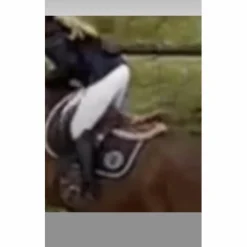 Pantalon de concours prisca*Pikeur Outlet