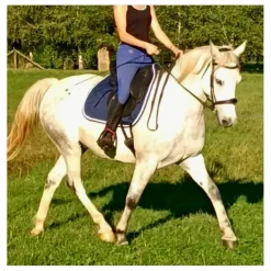 Pantalon*GEM Hot