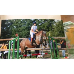 Pantalon Hervé godignon Casaque T38/40*Herve Godignon - Jump'in Sale