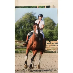 Pantalon Hervé godignon Casaque T38/40*Herve Godignon - Jump'in Sale