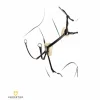 Equestro Colliers De Chasse>Pectoral
