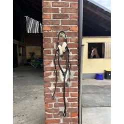 Equestro Colliers De Chasse><noscript><img width=