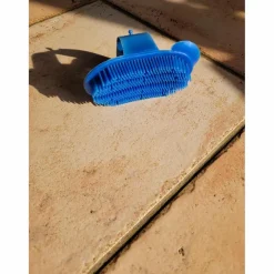 petite étrille bleue*Fouganza Clearance