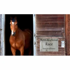 - Marque inconnue - Autres>Plaque de Box personnalisée Nom du cheval + Race + Date de Naissance