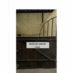 Plaque de box personnalisée Nom du cheval + Race*- Marque inconnue - Online