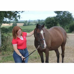 Harcour Polos / Tshirts Équitation>polo