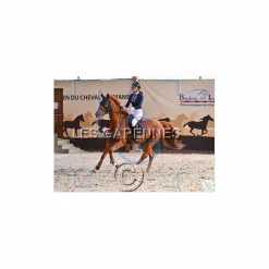 Animo Chemises & Polos><noscript><img width=