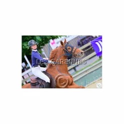 Animo Chemises & Polos><noscript><img width=