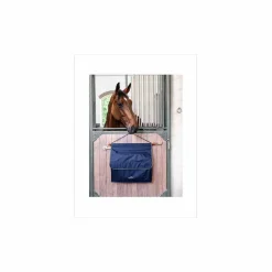 Porte accessoires de box (sac concours)*Equiline Online