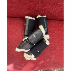 protection*Lemieux New