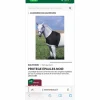 Equitheme Couvertures>protège épaule