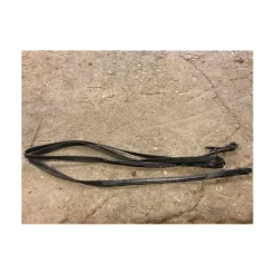Fouganza Rênes>Renes noires