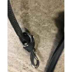 Decathlon Rênes>Rênes