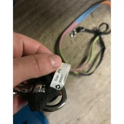 Decathlon Rênes><noscript><img width=