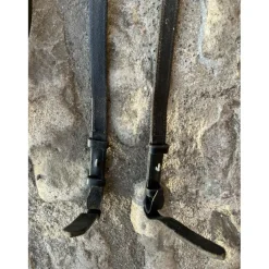 Fouganza Rênes>Rênes
