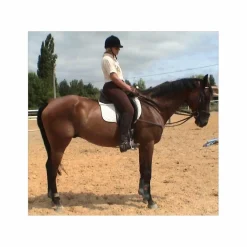 Rênes allemandes (coulissantes) en cuir*- Marque inconnue - Best