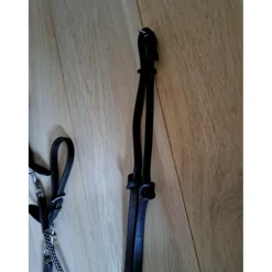 Fouganza Rênes Allemandes><noscript><img width=