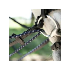 Antares Rênes Allemandes><noscript><img width=