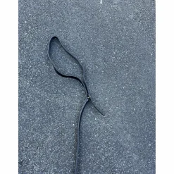 Rênes fixes / Viennoises*Norton Outlet
