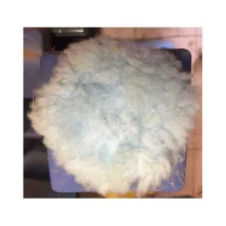 Rond de muserolle bleu ciel*CSO New