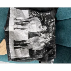 sac et brosses de pansage*Fouganza Best