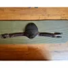 Arion Sangles>sangle bavette 135cm