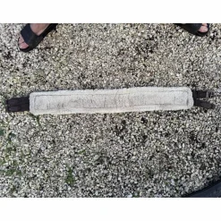 Kentucky Sangles><noscript><img width=
