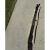 sangle mouton*Kentucky Sale