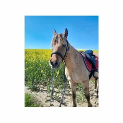 Stubben Sangles>Sangle neoprene 125cm