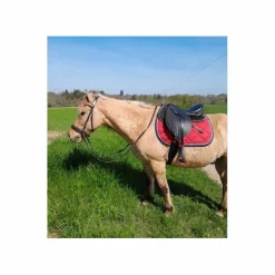 Stubben Sangles>Sangle neoprene 125cm