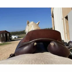 GBS Selles D'Obstacle><noscript><img width=