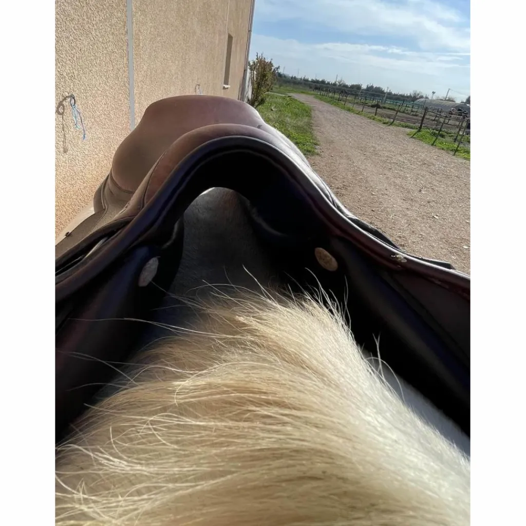 GBS Selles D'Obstacle>selle 16’’5 cso