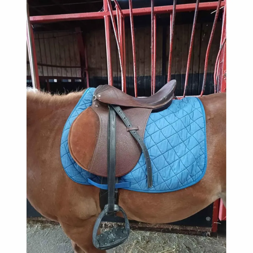 - Marque inconnue - Selles Mixtes>Selle 15" cuir havane