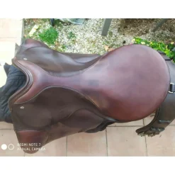 Passier Autres Selles (Amazone, Barefoot, Australienne...)><noscript><img width=